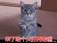 4a268159d19049499f8ed02c4c943767.gif