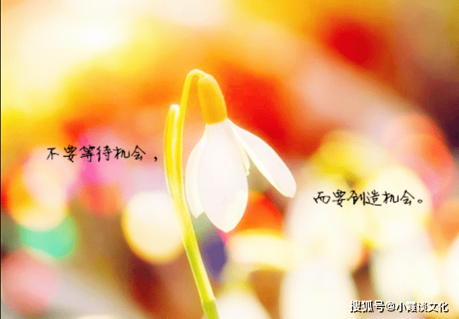 4ad93d0844bf4b0283958e75fff8c093.png