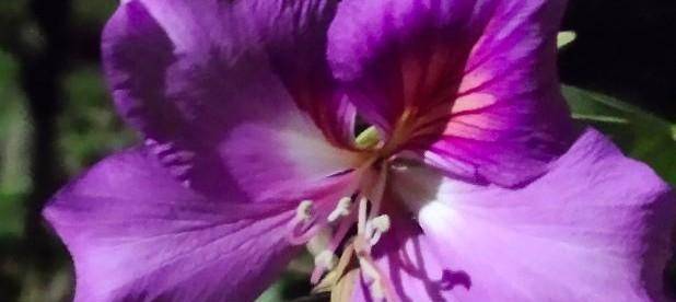 仇大如|让100000人头疼的婆媳关系，记住3条帮你搞定……