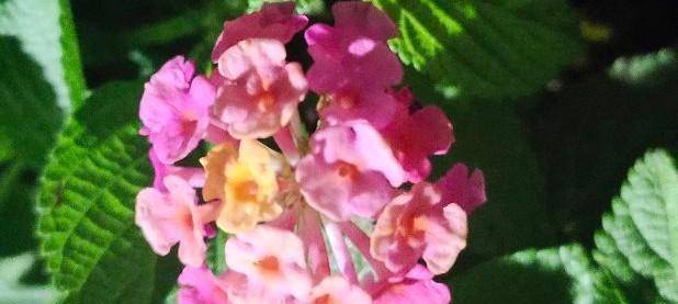 仇大如|让100000人头疼的婆媳关系，记住3条帮你搞定……