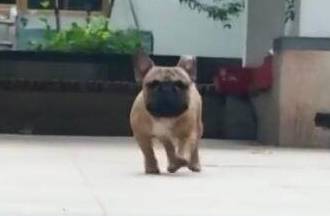 05365ff7609e4b5d8b1c3f2a1d9db7fc.jpeg