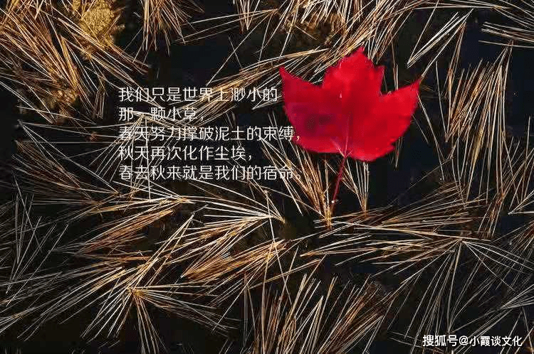 頓悟人生的經典語錄,奮發向上,越讀越優秀