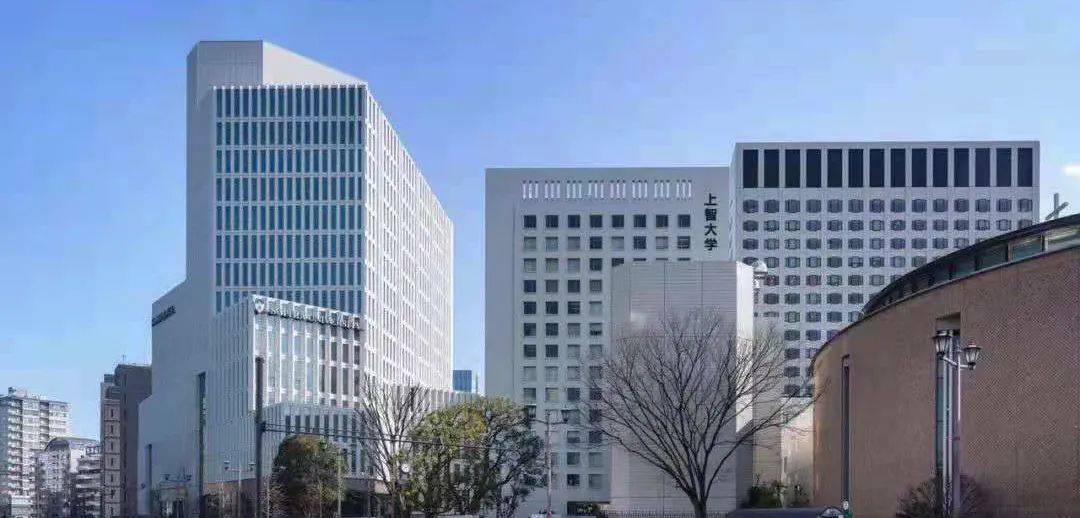 上智大学即将开始出愿啦 学科