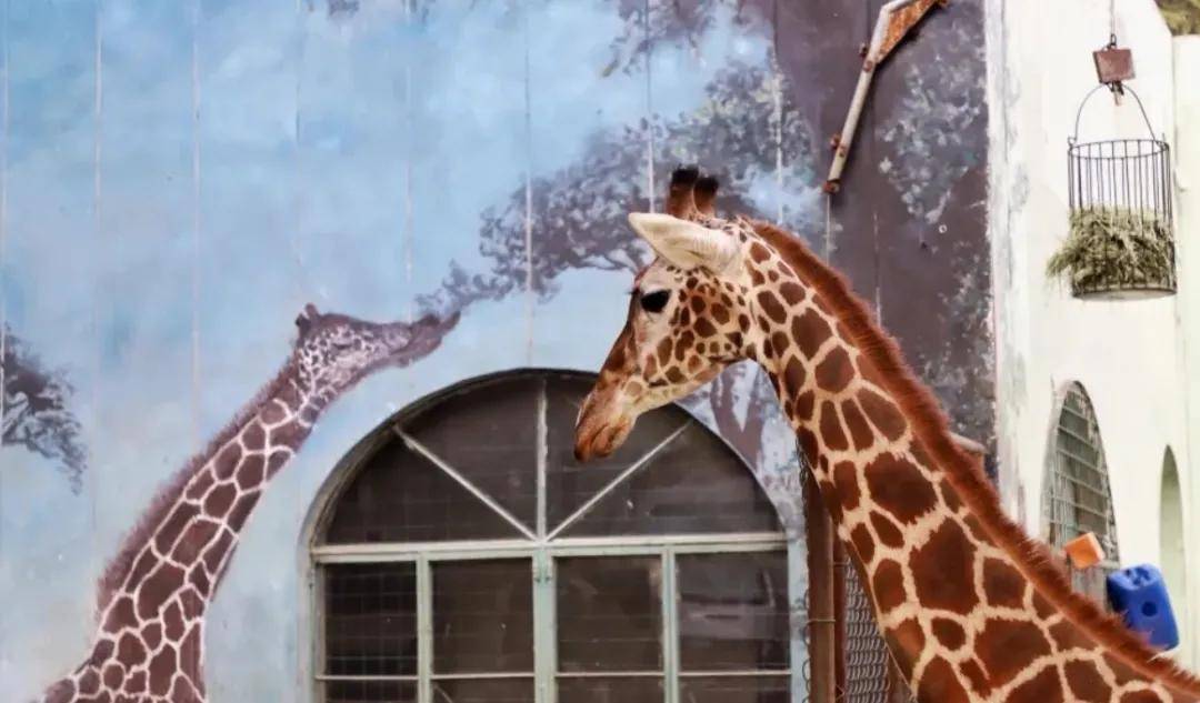 in|『缤纷夏日 七彩童年』吉利汽车无锡同元员工亲子拓展 in 南京！