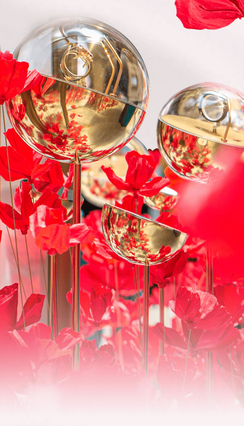 ��ɫ�����ս��Ϻ����������ŷ���Ѿ�����ѧ֮��