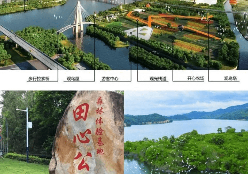 中山影视城 珍稀湿地公园:崖口红树林湿地公园,翠亨国家湿地公园,田心