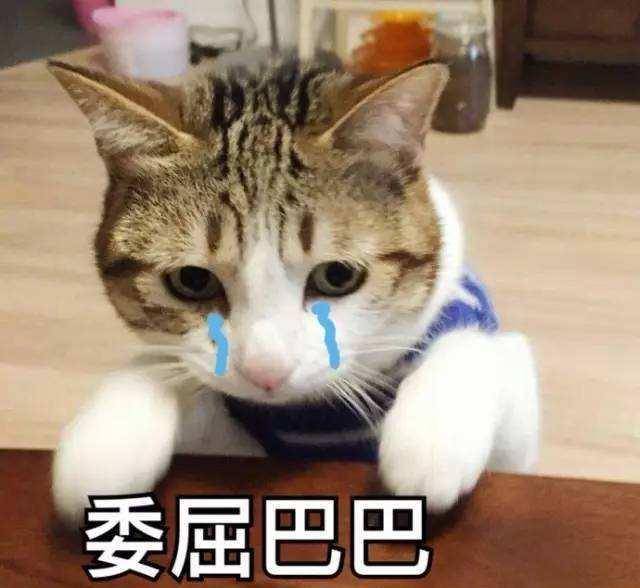 80c03b64a6134744b72f95eaf61bc0b7.jpeg