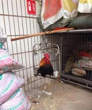 差不多|搞笑GIF：你把衣服脱下来，我帮你洗吧！