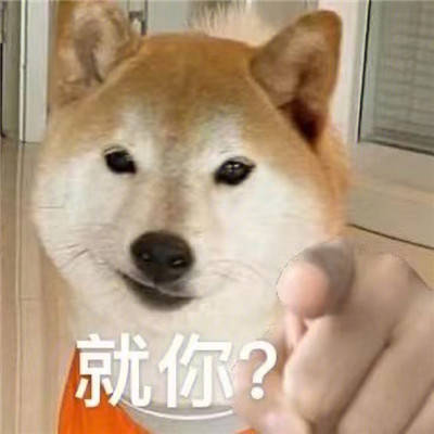 狗加手指表情包图片