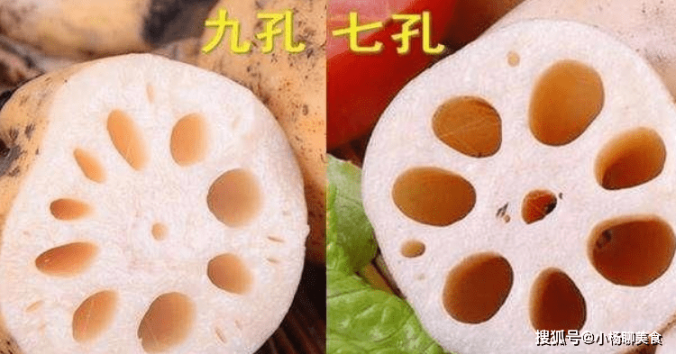 啥时候种莲藕 0be8ad15b93845da82e4fd0bb7fca666.png