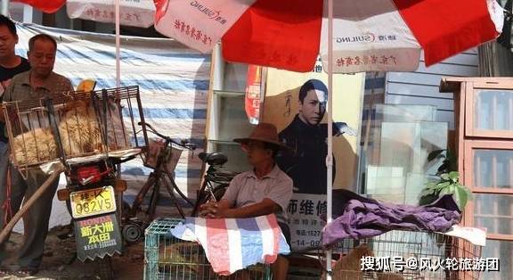 因为|对狗狗来说，这5类人最可怕了，你在其中吗？