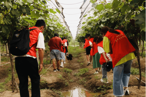 绍兴大学生暑期实践的全新打开方式