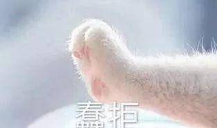 a2b51900d4194a699513c173632321c5.jpeg