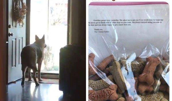 邮差|狗狗从攻击邮差到每天翘首期盼,不久邮差收到心碎回信:把爱延续