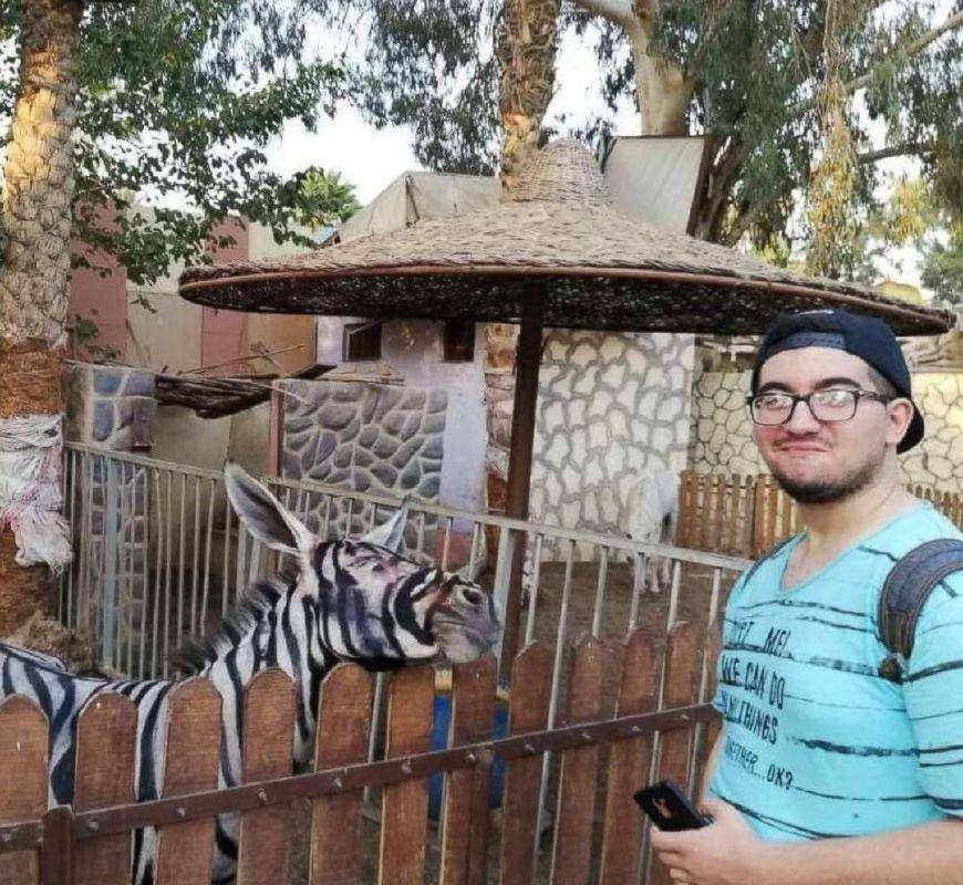太搞笑，动物园用驴冒充斑马，感觉来了个假动物园