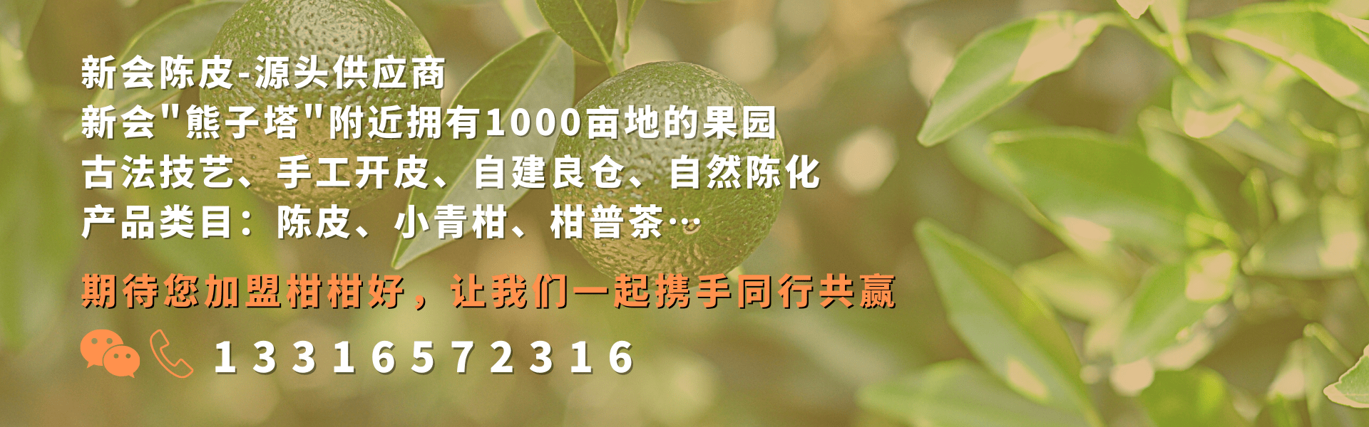 食谱|三伏天，陈皮食谱#02，“陈皮+胎菊”