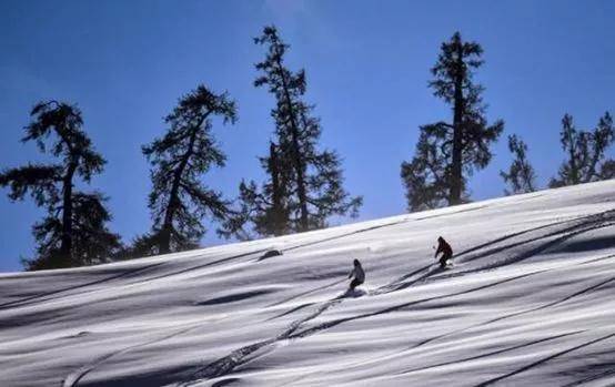 揭秘丨中国最值得去的谈球吧体育五大滑雪场(图3)