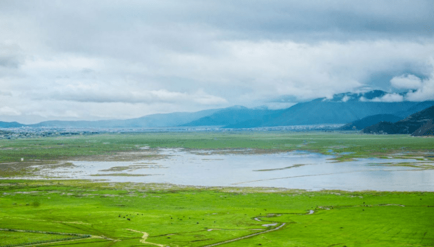 全新首创打造净自由日立中央空调再次定义好空气标准