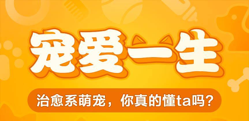 什么|它长得“好奇怪”，要不说还真不知道它是……
