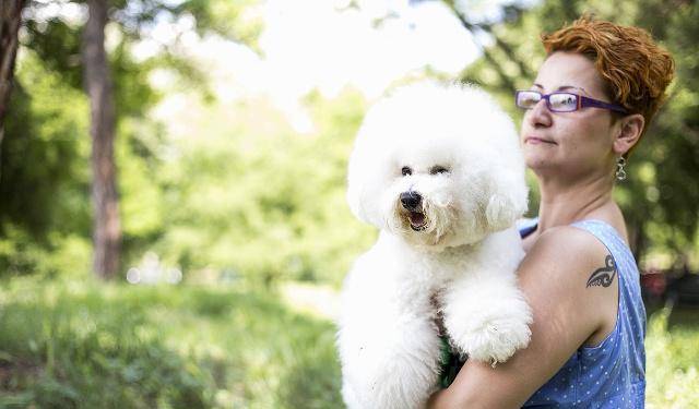 因为|要想养好比熊犬，这4点一定要多注意，“陪玩儿”是关键！