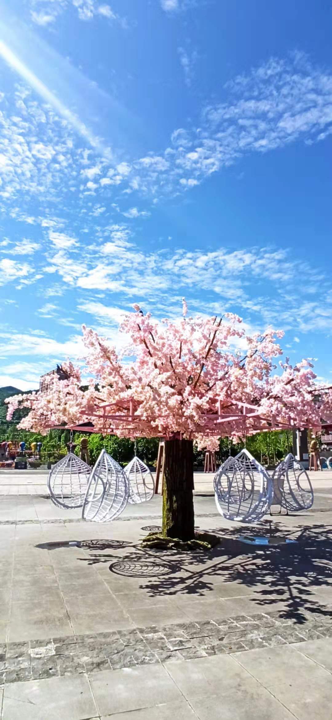 极速部落 | 高颜值项目 彩虹滑道 花海秋千