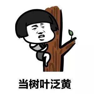 原创
晚上,老公帮女儿洗头发,一边洗一边意味深长的问女儿