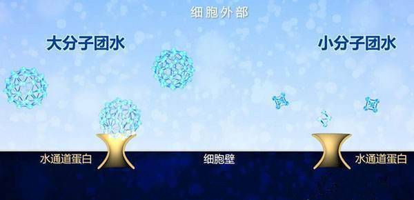 椰油|氨基酸洗面奶洗出妈生好皮？当心烂脸！几款详细测评，教你不踩雷