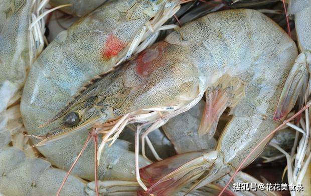 怎么挑选大虾最好 6b7f95ebd27a4eadafdd846fdde5147f.jpeg