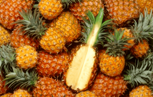 肠道|常常肚痛胃痛的人，应谨慎吃水果，并且要在家里备好和胃整肠丸