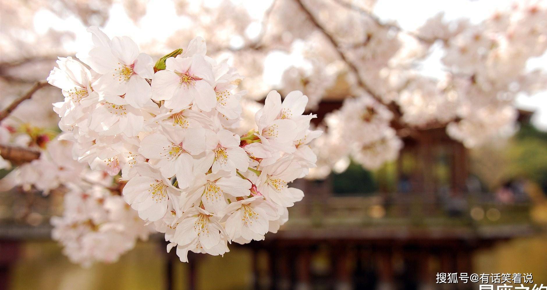 10月17日星座运势迎接挑战 努力拼搏的四大星座 对方 10月17日星座运势迎接挑战 努力拼搏的四大星座 对方
