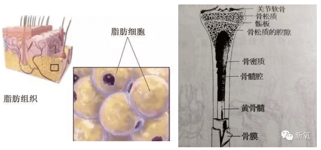 因为|和渣男分手后再出现的阚清子太好看了吧！脸小一整圈！