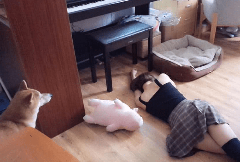 在狗狗面前装死它会怎么想