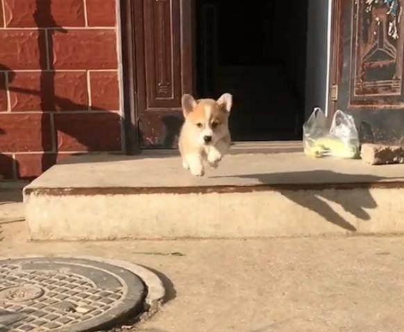 观点评论|不知道这6根铁链能否锁住这妖兽，网友：金刚伏魔锁妖大阵？