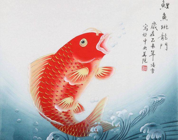 那么多动物,为什么中国人偏相信锦鲤能够带来好运?