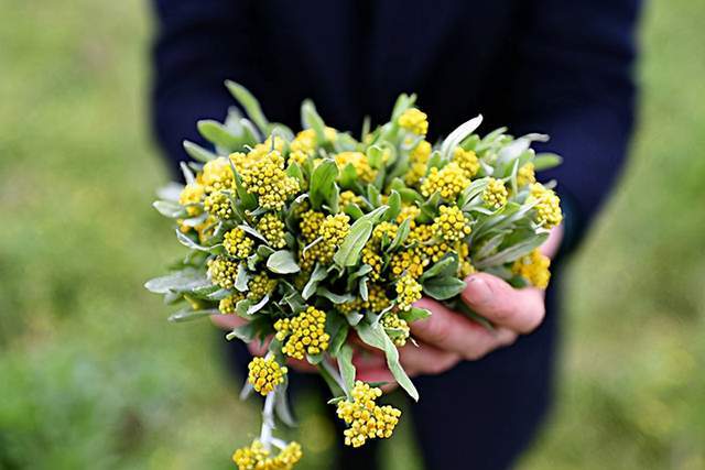 因为|68岁肝胆科主任：坚持做好3件事，还你“肝无忧”