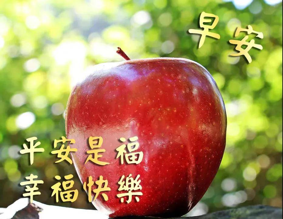 8张特别好看的免打字早上祝福语图片大全,周六漂亮的问候语图片精选