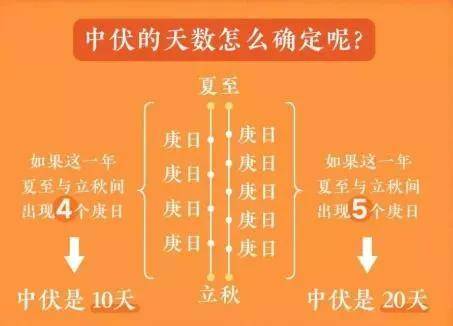 夏练三伏得先搞清楚今年三伏天从哪天开始