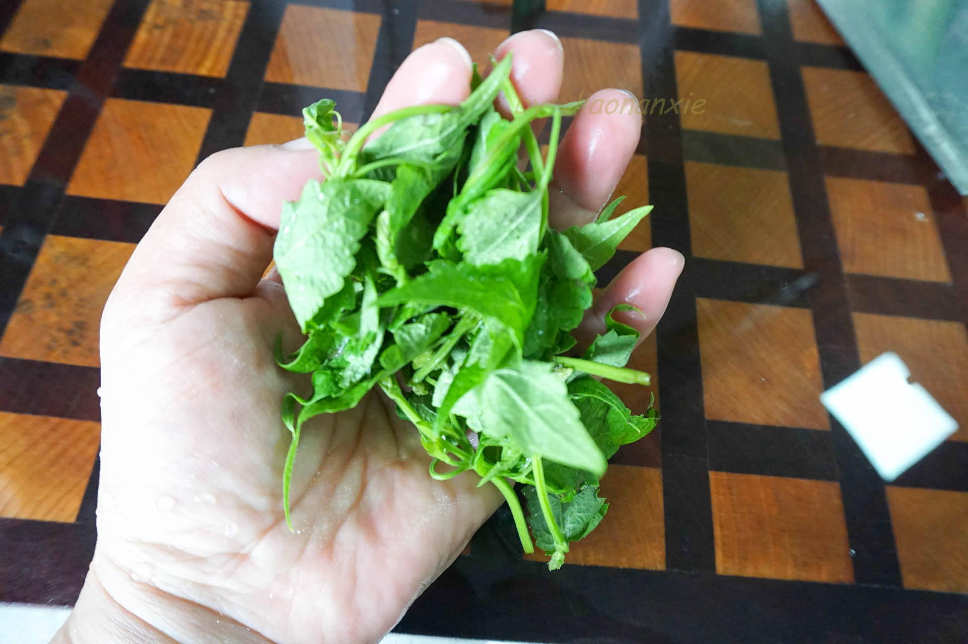 草鱼|朋友圈晒早餐,网友都说这不是早餐,哪有早餐吃鱼的,还那么诱人