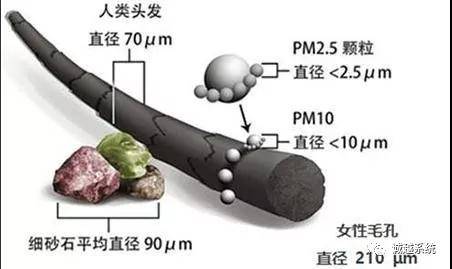 头皮|日用品 > 米浆滋养去屑洗发水