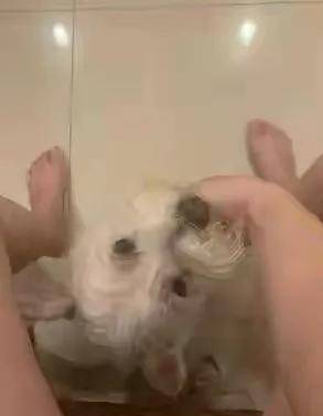 55fcefbeec2443d6b675265f5e7b9009.jpeg