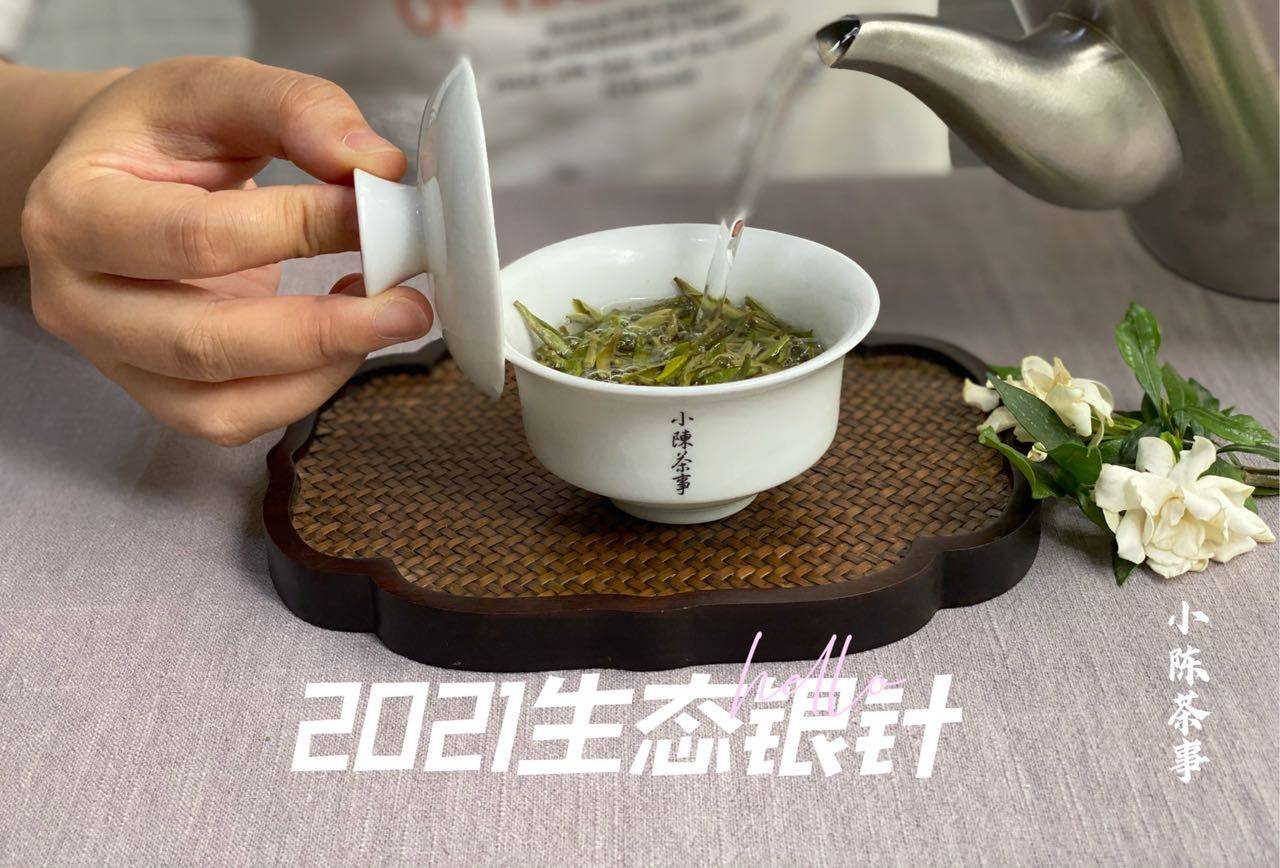 茶叶|如何判断白茶有没有受潮,老茶客教你3招,不怕存坏茶