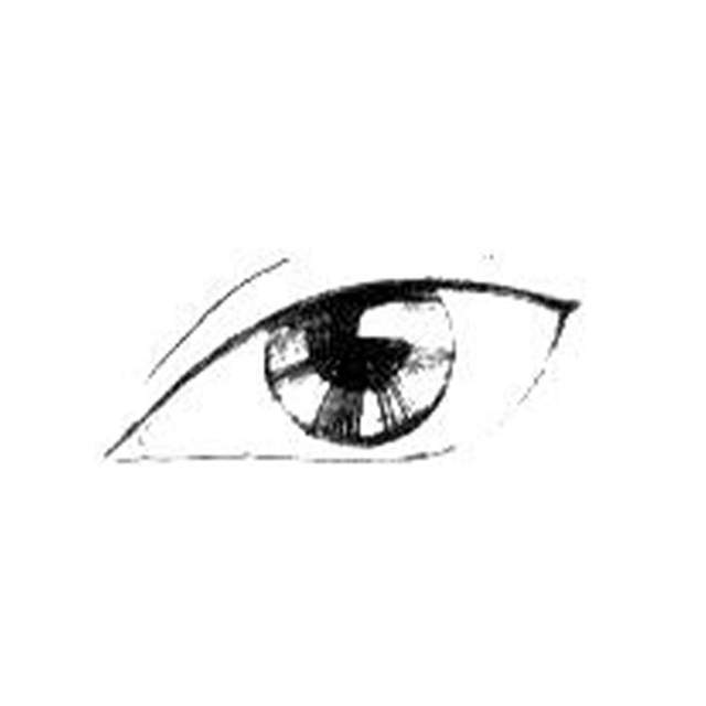 什么|秘诀:眼型对美貌有多重要?明白眼型才懂什么眼妆最合适