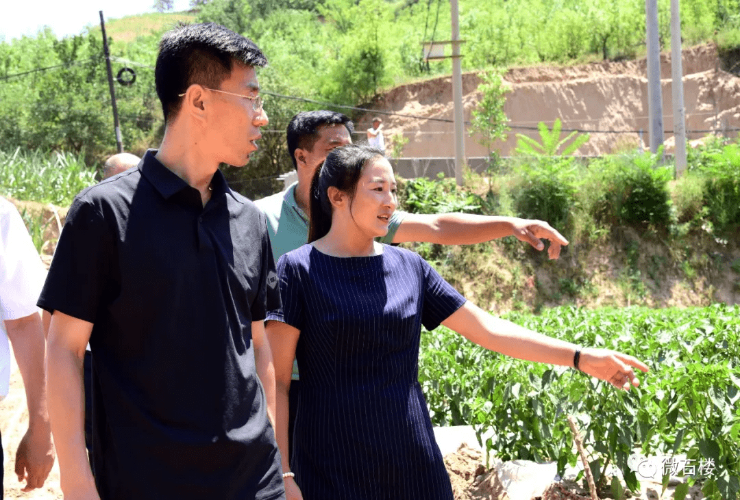 石楼:张鹏耀深入义牒镇实地调研