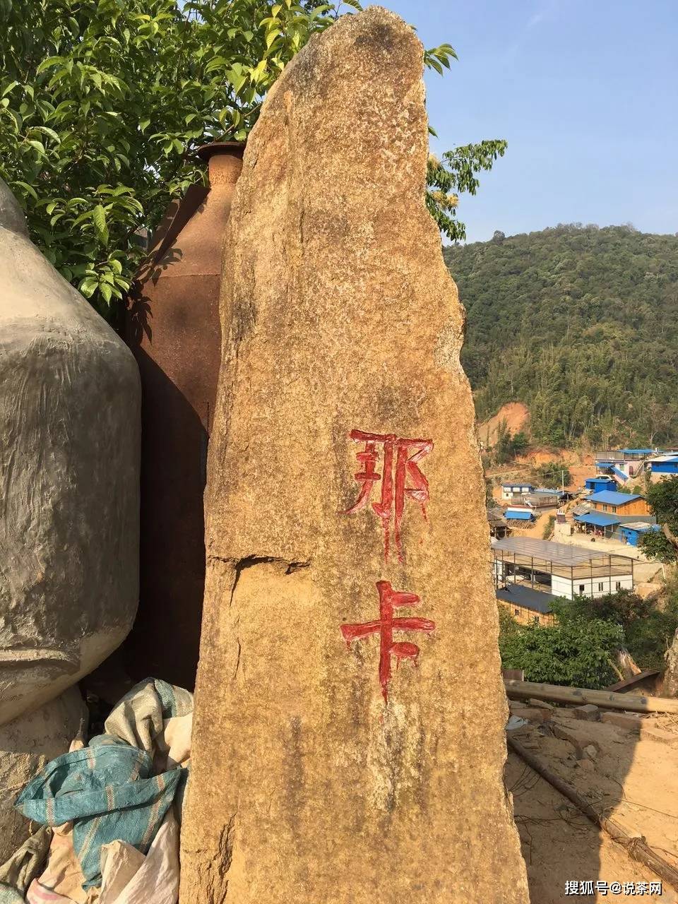 勐宋乡|传说“三年那卡赛班章”？勐宋古茶代表——那卡真能当班章卖？