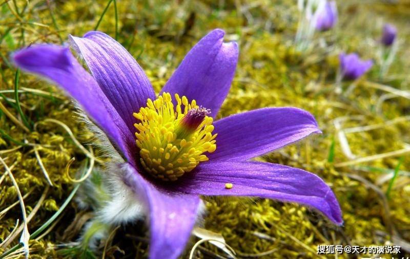 9月1日星座运势 金牛锦上添花 天秤大局观强 双鱼坚持到底 的能力