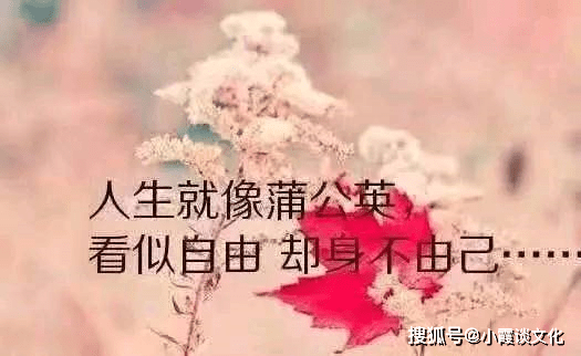 04c6ad9c68f940ae8b18bede6e7245ac.png