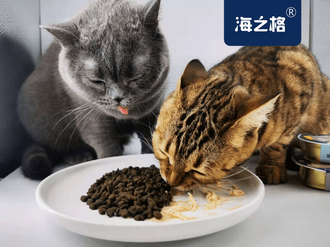 a565d749363d41e9b5bcf2b8e1787237.png