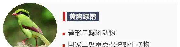 象头山|还在为穿衣搭配发愁？让“时尚达人”给你一些新思路！