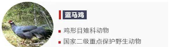 象头山|还在为穿衣搭配发愁？让“时尚达人”给你一些新思路！