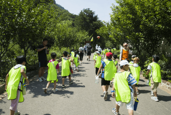 神兽|旅行：带孩子过一个有意义的暑假